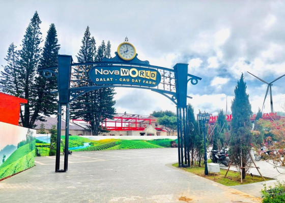 Dịch Vụ Quản Gia Novaworld Đà Lạt